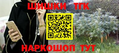 винт Сланцы