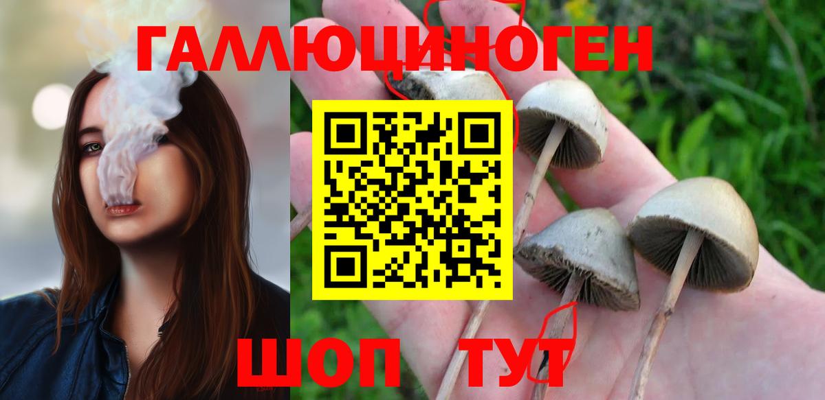 магазин  наркотиков  Галлюциногенные грибы GOLDEN TEACHER  Вход с VPN  Галлюциногенные грибы ЛСД  Нефтеюганск 